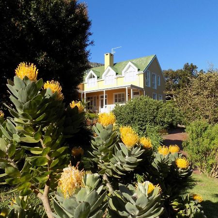 Villa La Paz Hout Bay Luaran gambar