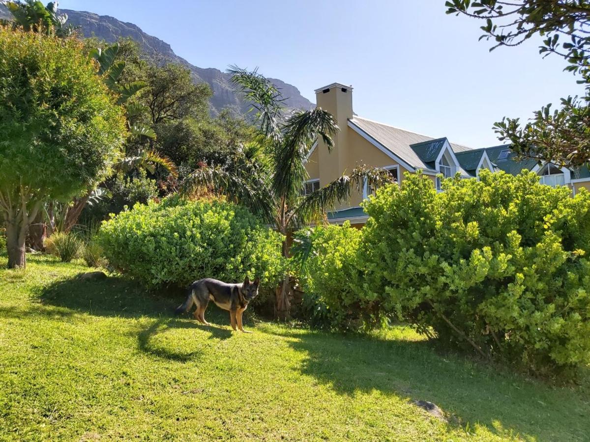 Villa La Paz Hout Bay Luaran gambar